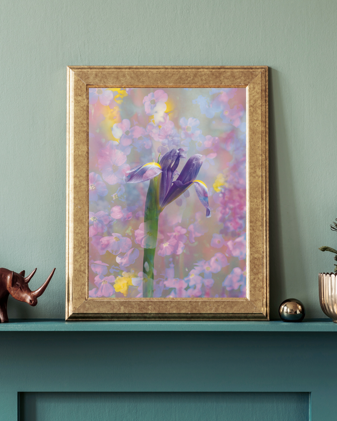 Iridescent Iris Portrait Fine Art Print