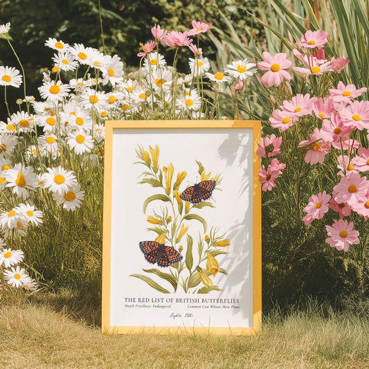 Heath Fritillary British Butterfly, Heritage Fine Art Archival Print - Lydia Hill Designs