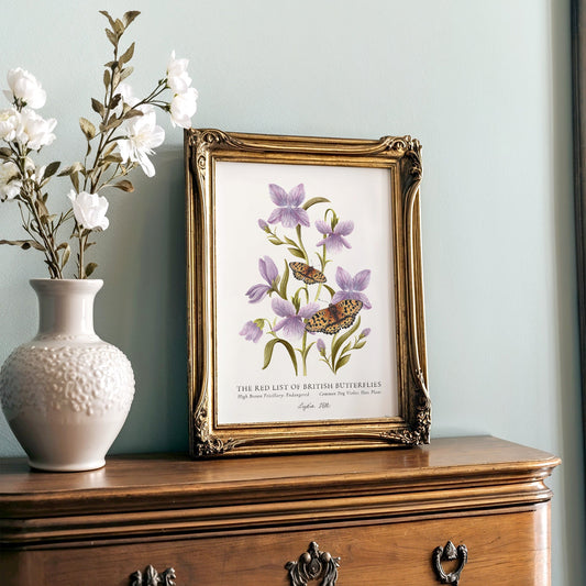 High Brown Fritillary British Butterfly, Heritage Fine Art Archival Print - Lydia Hill Designs