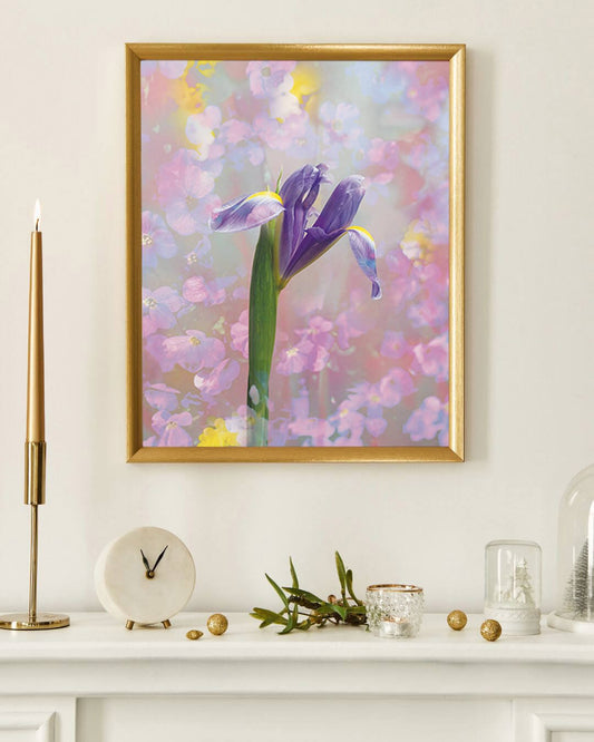 Iridescent Iris Portrait Classic Fine Art Print - Lydia Hill Designs