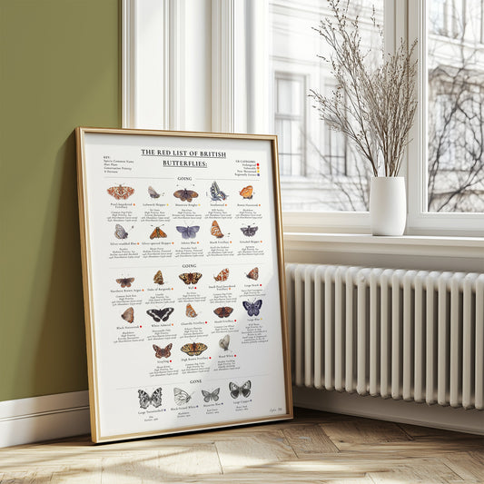 The Red List of British Butterflies Educational Heritage Fine Art Print - Lydia Hill Designs