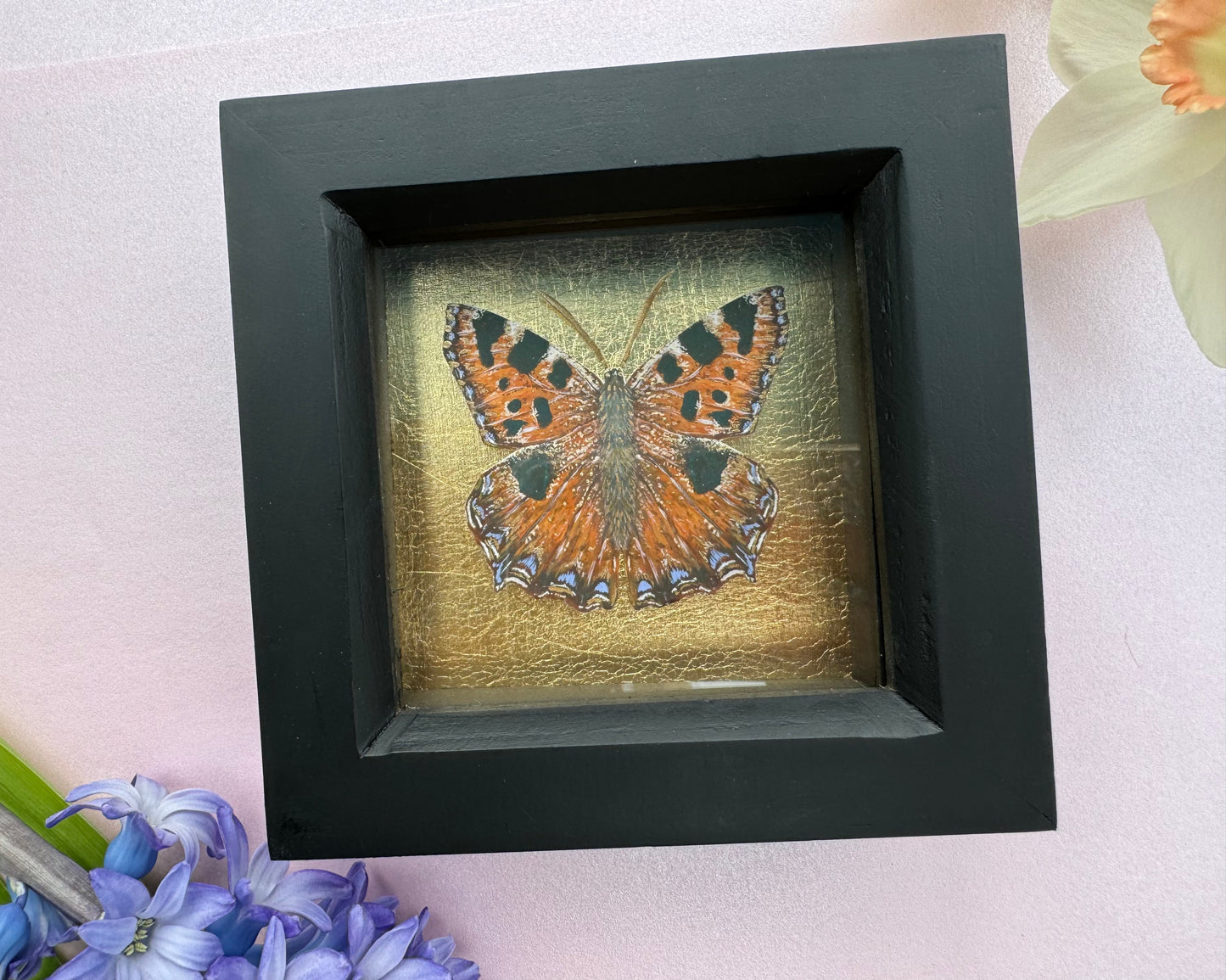 Painted Tortoiseshell Butterfly Art Print in Black Box Frame With Gold Leaf