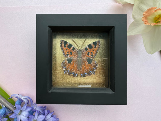 Painted Tortoiseshell Butterfly Art Print in Black Box Frame With Gold Leaf