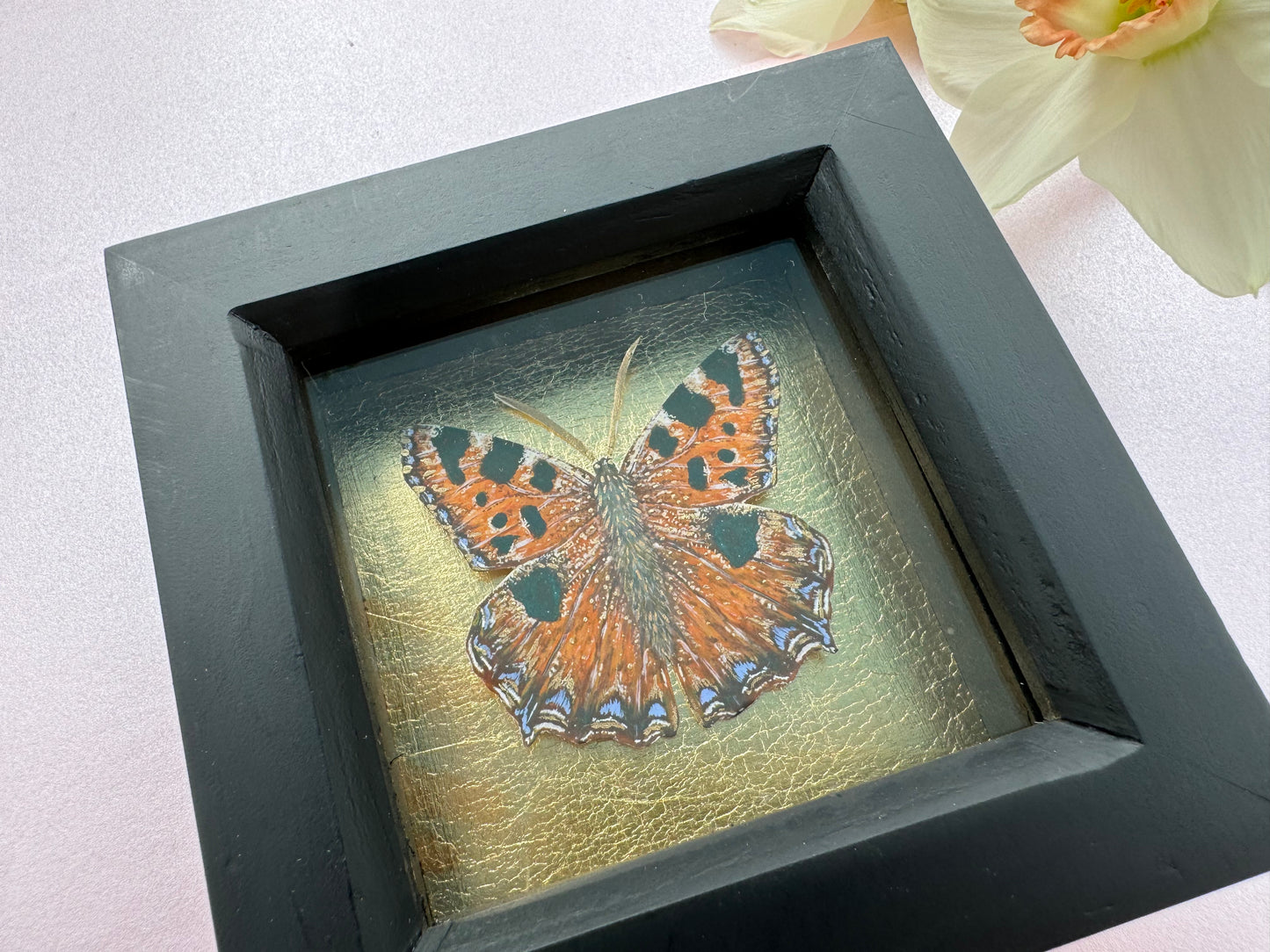 Painted Tortoiseshell Butterfly Art Print in Black Box Frame With Gold Leaf