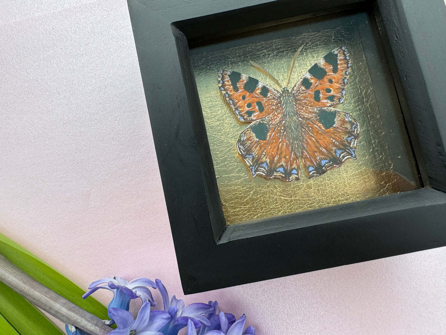 Painted Tortoiseshell Butterfly Art Print in Black Box Frame With Gold Leaf