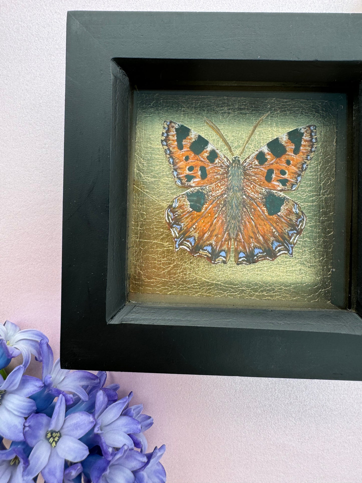 Painted Tortoiseshell Butterfly Art Print in Black Box Frame With Gold Leaf