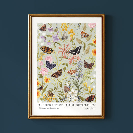 Endangered British Butterfly Colourblock Heritage Fine Art Print - Lydia Hill Designs