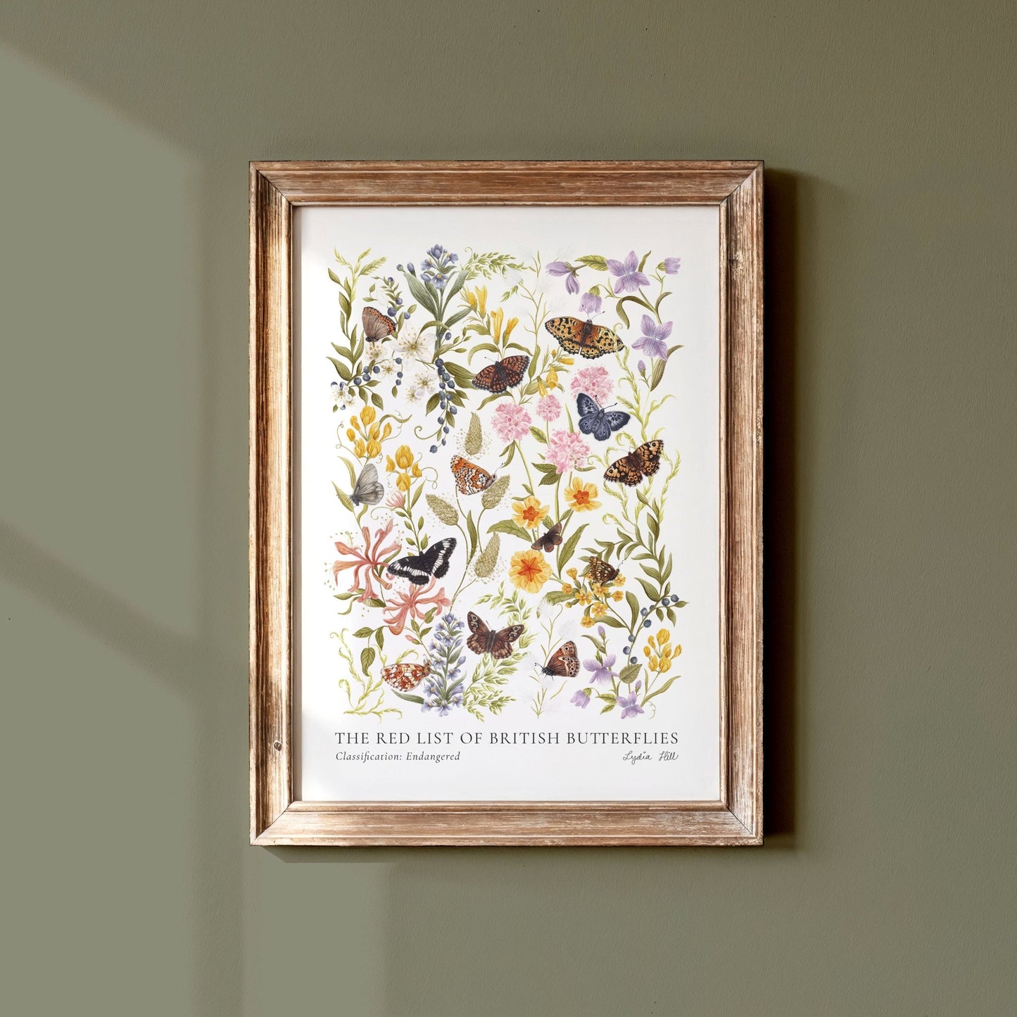 Endangered British Butterfly Heritage Fine Art Print - Lydia Hill Designs