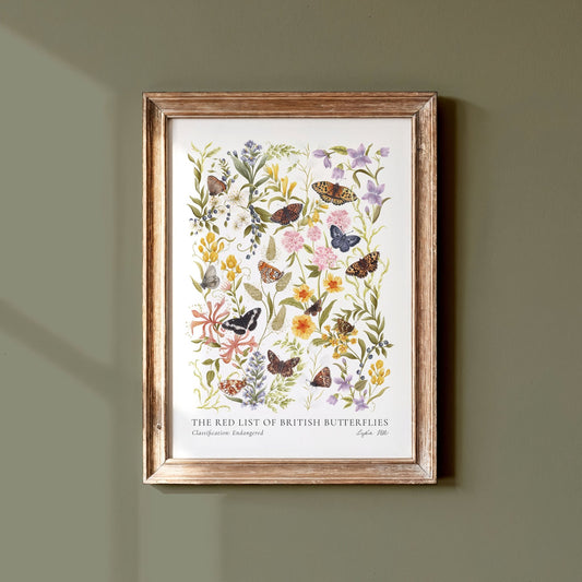 Endangered British Butterfly Heritage Fine Art Print - Lydia Hill Designs
