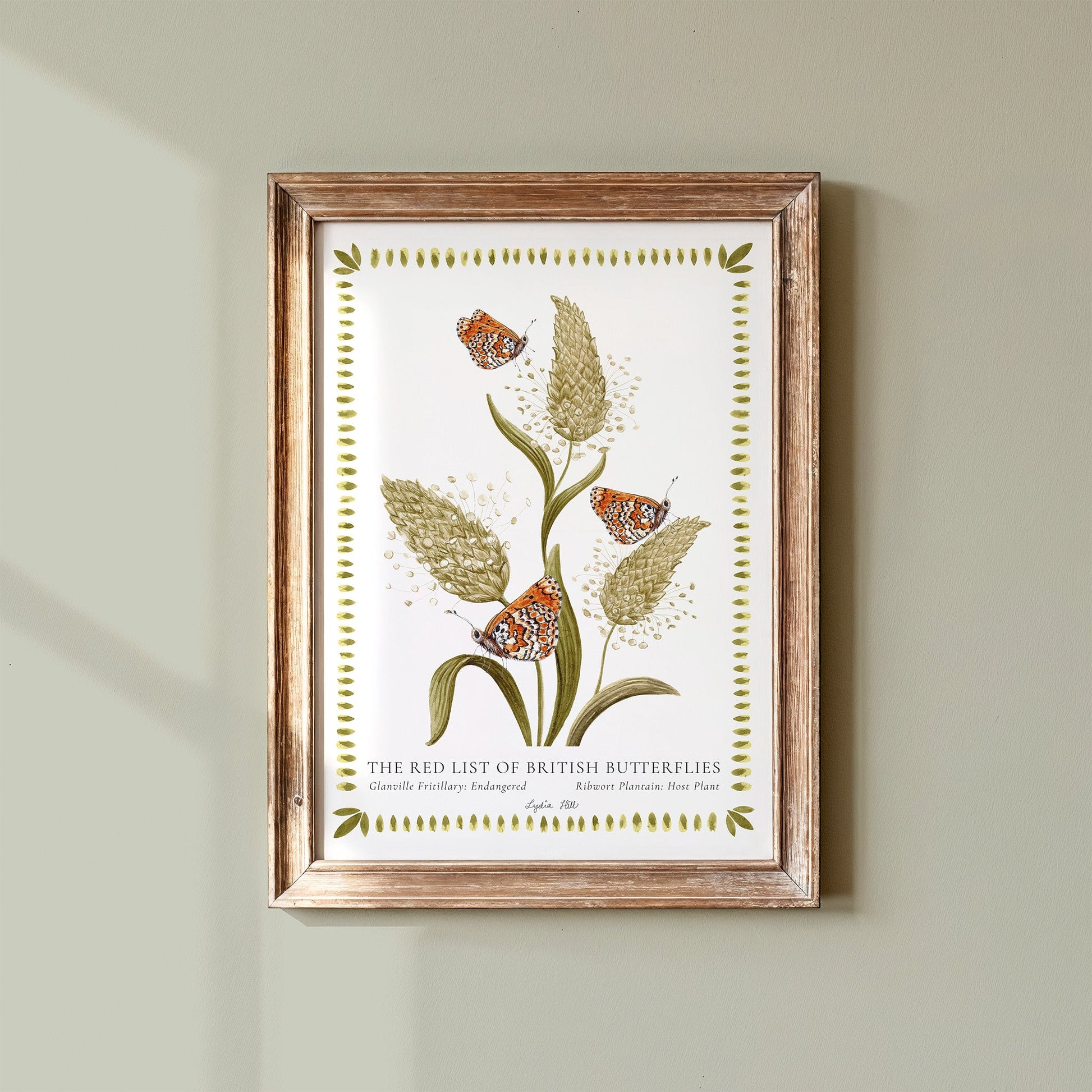 Glanville Fritillary British Butterfly, Heritage Fine Art Archival Print - Lydia Hill Designs
