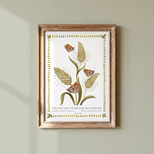 Glanville Fritillary British Butterfly, Heritage Fine Art Archival Print - Lydia Hill Designs