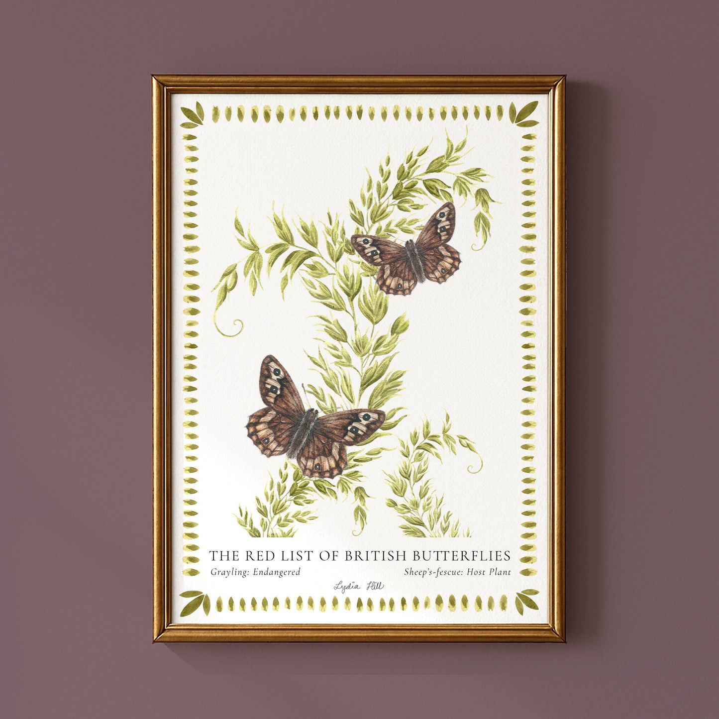 Grayling British Butterfly, Heritage Fine Art Archival Print - Lydia Hill Designs