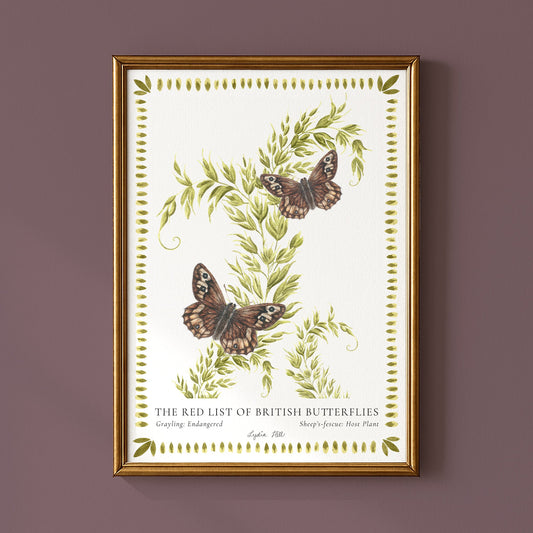 Grayling British Butterfly, Heritage Fine Art Archival Print - Lydia Hill Designs