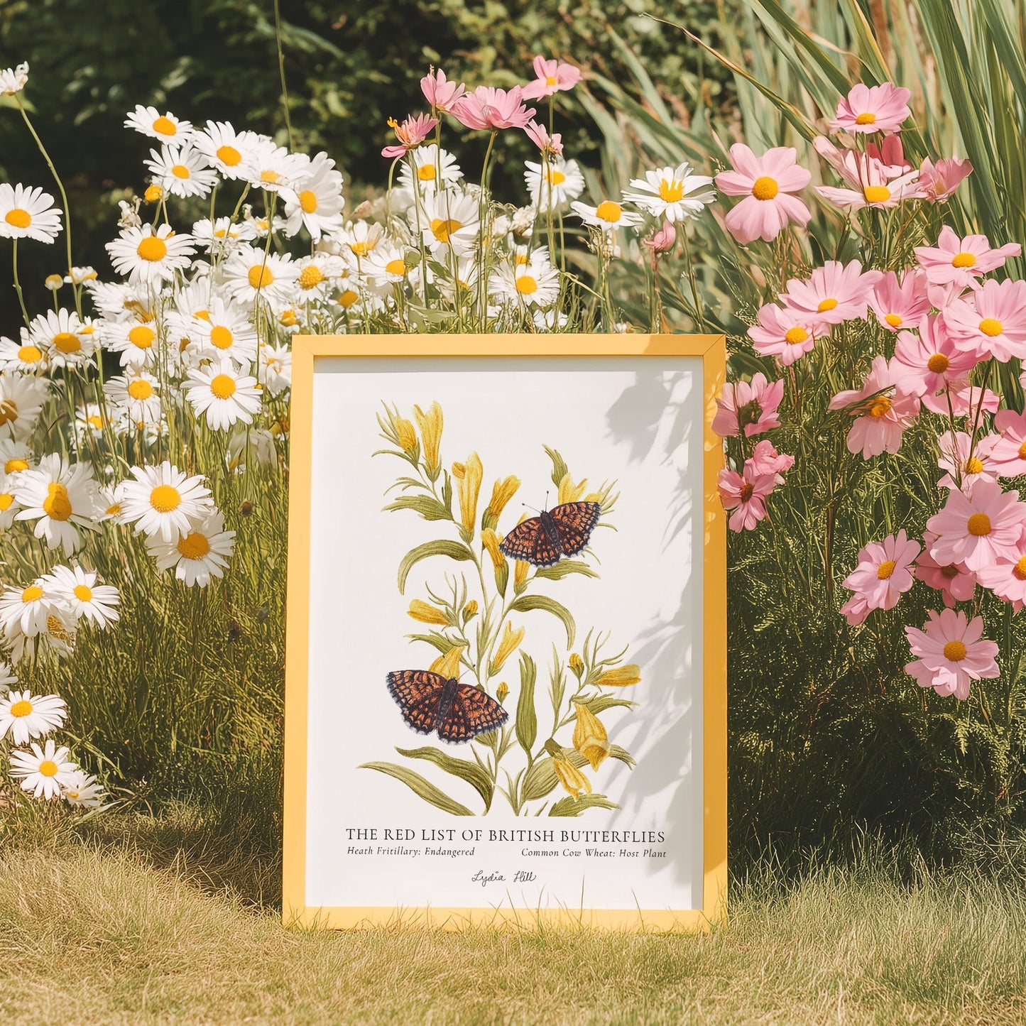 Heath Fritillary British Butterfly, Heritage Fine Art Archival Print - Lydia Hill Designs