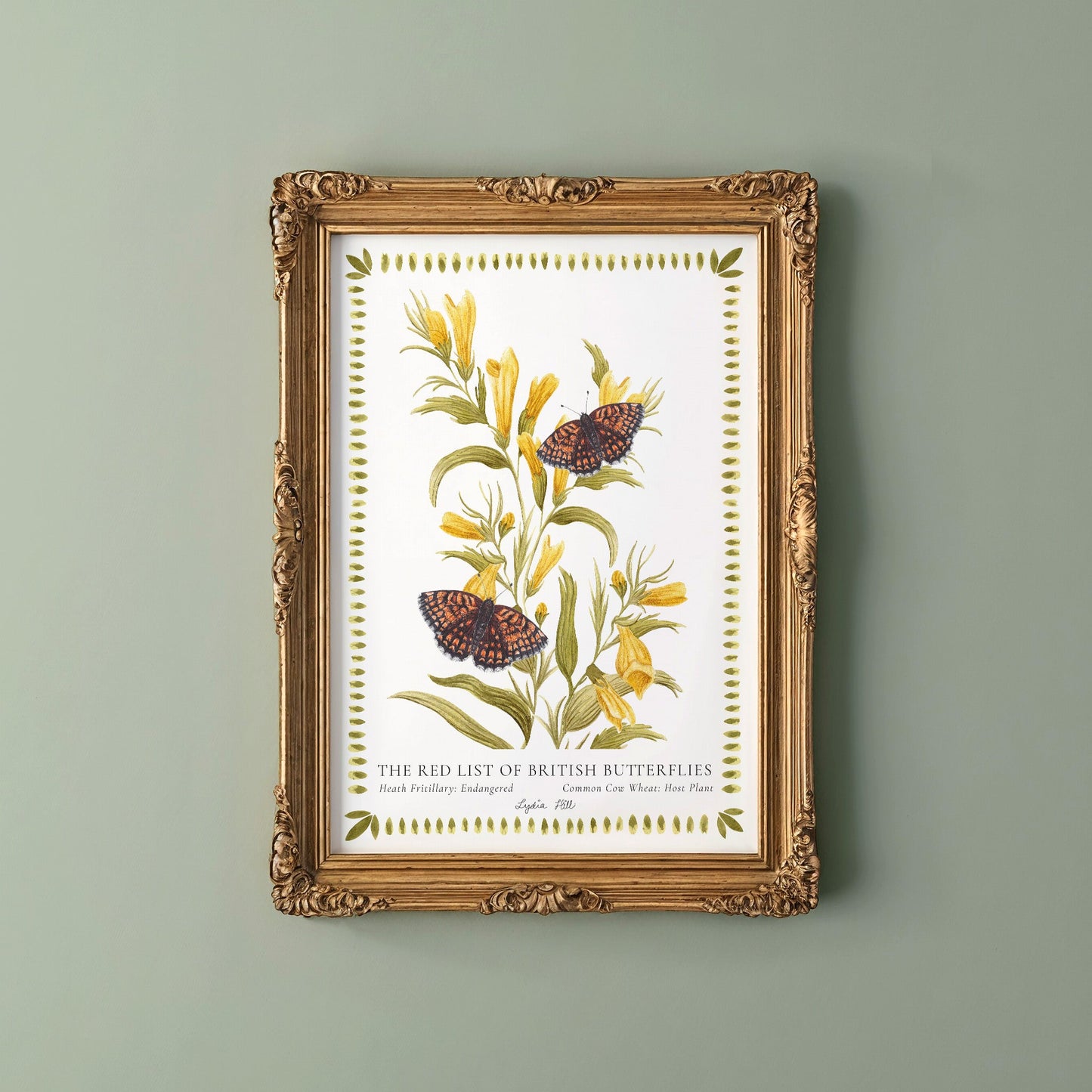 Heath Fritillary British Butterfly, Heritage Fine Art Archival Print - Lydia Hill Designs