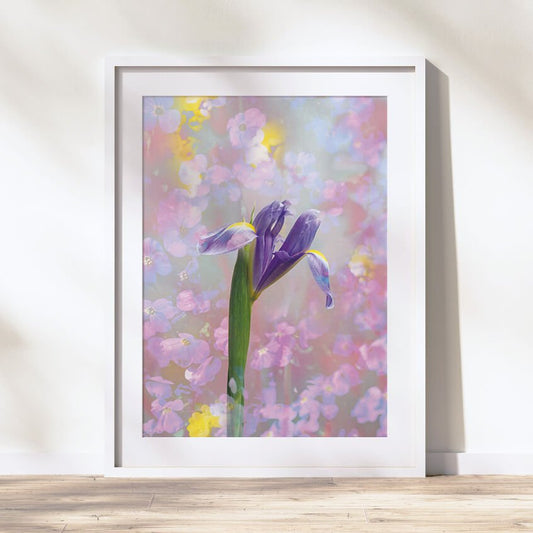 Iridescent Iris Portrait Classic Fine Art Print - Lydia Hill Designs