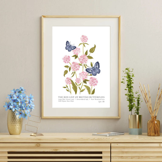 Large Blue British Butterfly, Heritage Fine Art Archival Print - Lydia Hill Designs