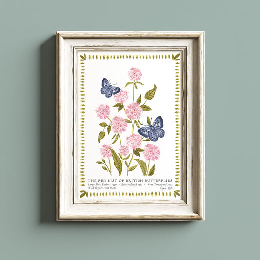 Large Blue British Butterfly, Heritage Fine Art Archival Print - Lydia Hill Designs