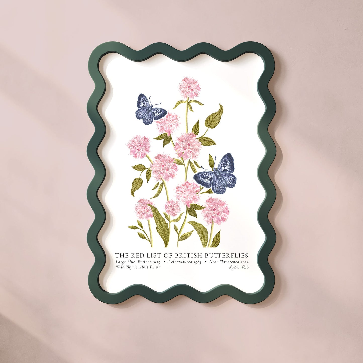 Large Blue British Butterfly, Heritage Fine Art Archival Print - Lydia Hill Designs