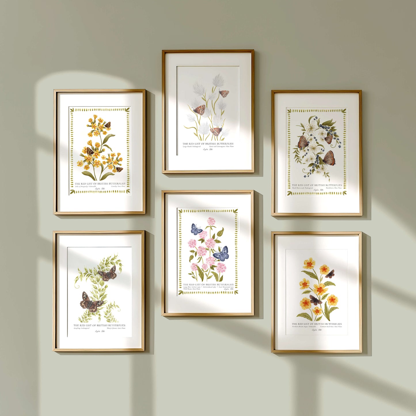 Large Heath British Butterfly, Heritage Fine Art Archival Print - Lydia Hill Designs