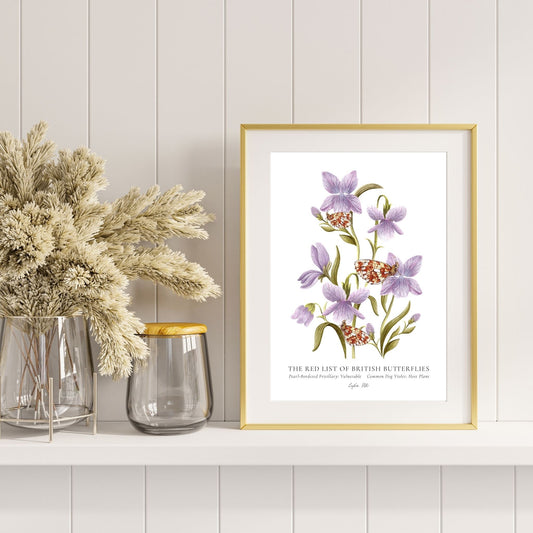 Pearl - Bordered Fritillary British Butterfly, Heritage Fine Art Archival Print - Lydia Hill Designs