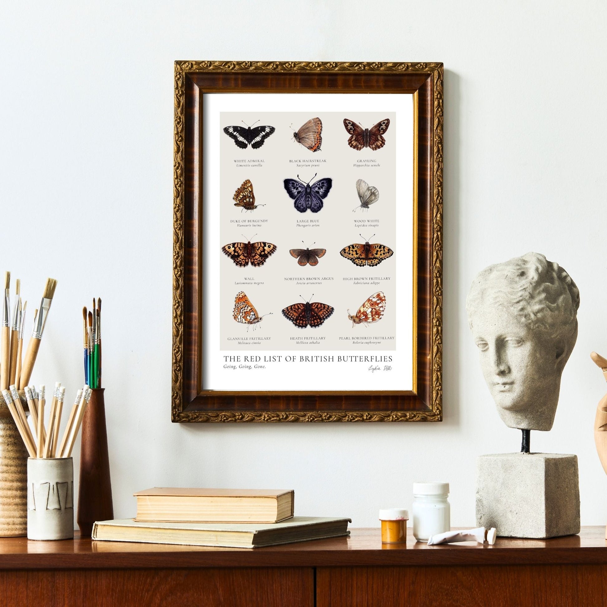 Scientific Endangered British Butterflies Fine Art Print - Lydia Hill Designs