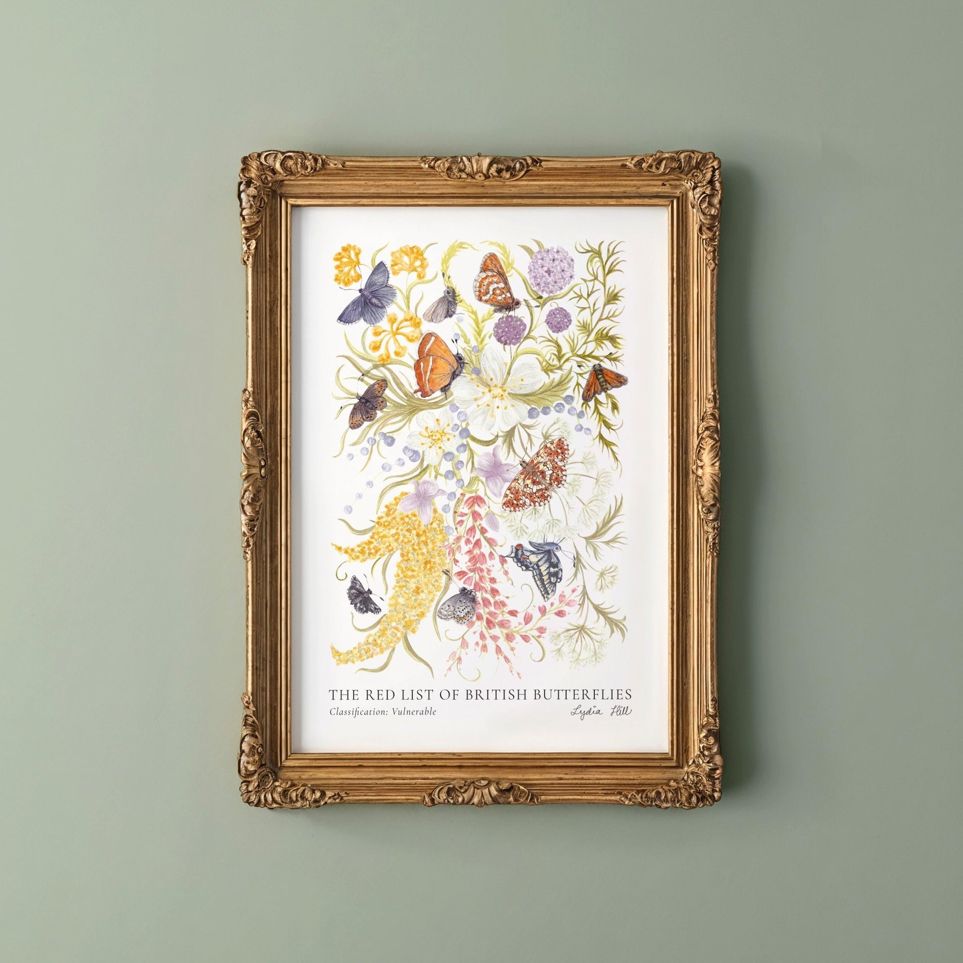 Vulnerable British Butterflies Heritage Fine Art Print - Lydia Hill Designs