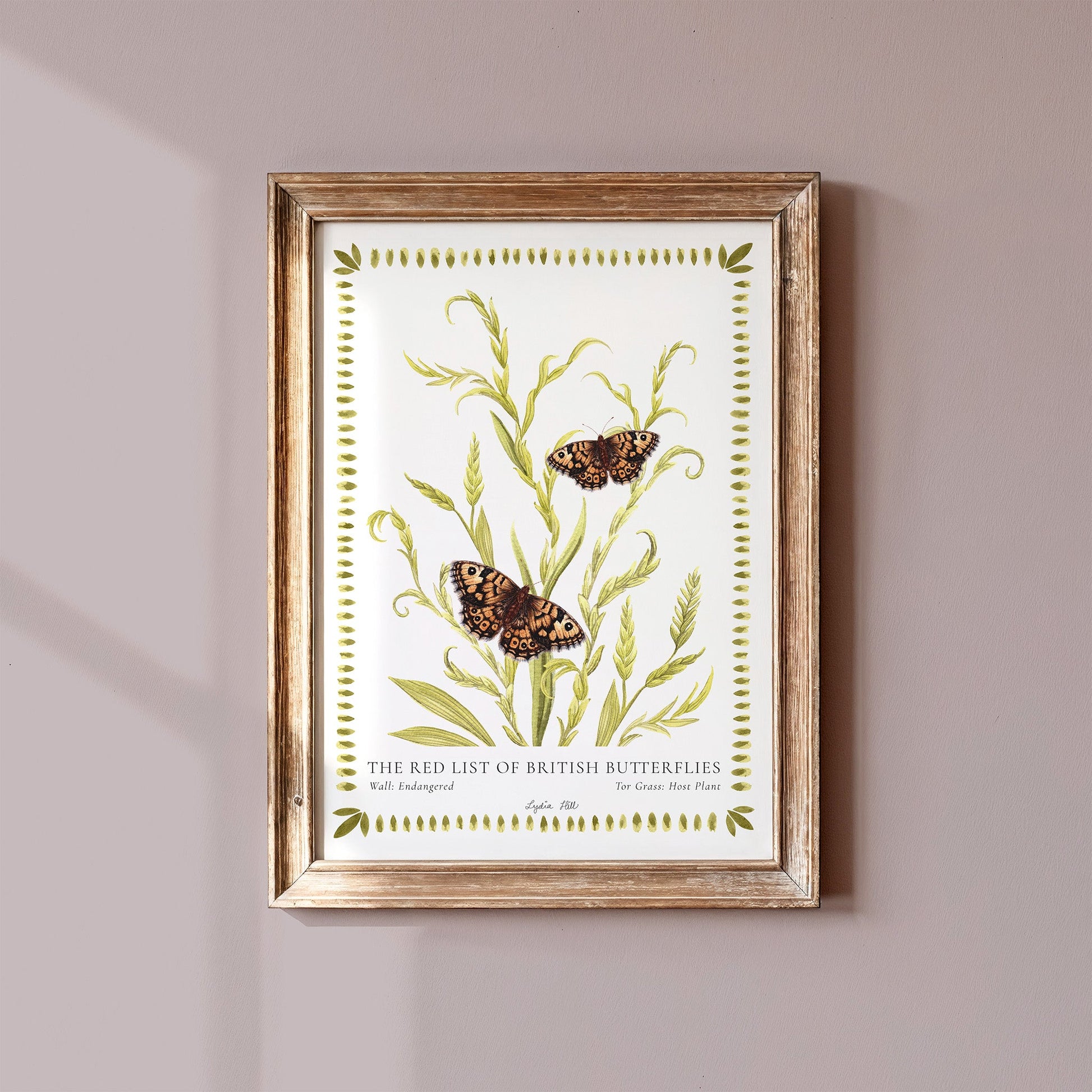 Wall British Butterfly, Heritage Fine Art Archival Print - Lydia Hill Designs