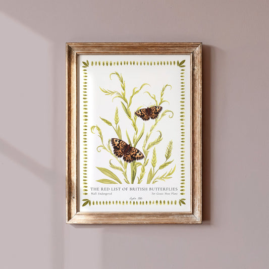 Wall British Butterfly, Heritage Fine Art Archival Print - Lydia Hill Designs