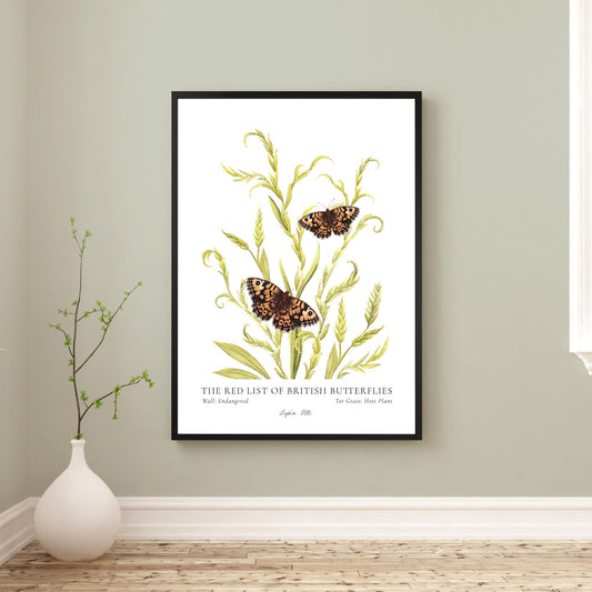 Wall British Butterfly, Heritage Fine Art Archival Print - Lydia Hill Designs
