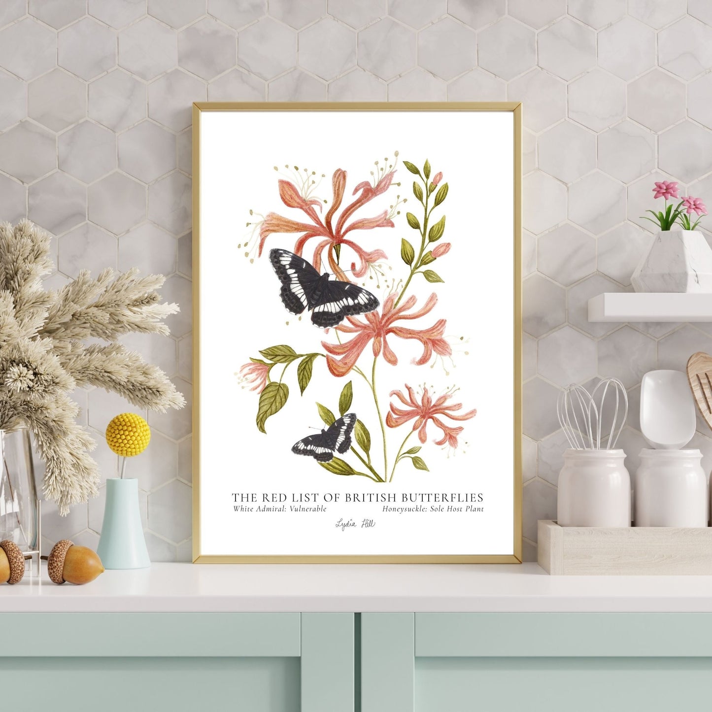 White Admiral British Butterfly, Heritage Fine Art Archival Print - Lydia Hill Designs