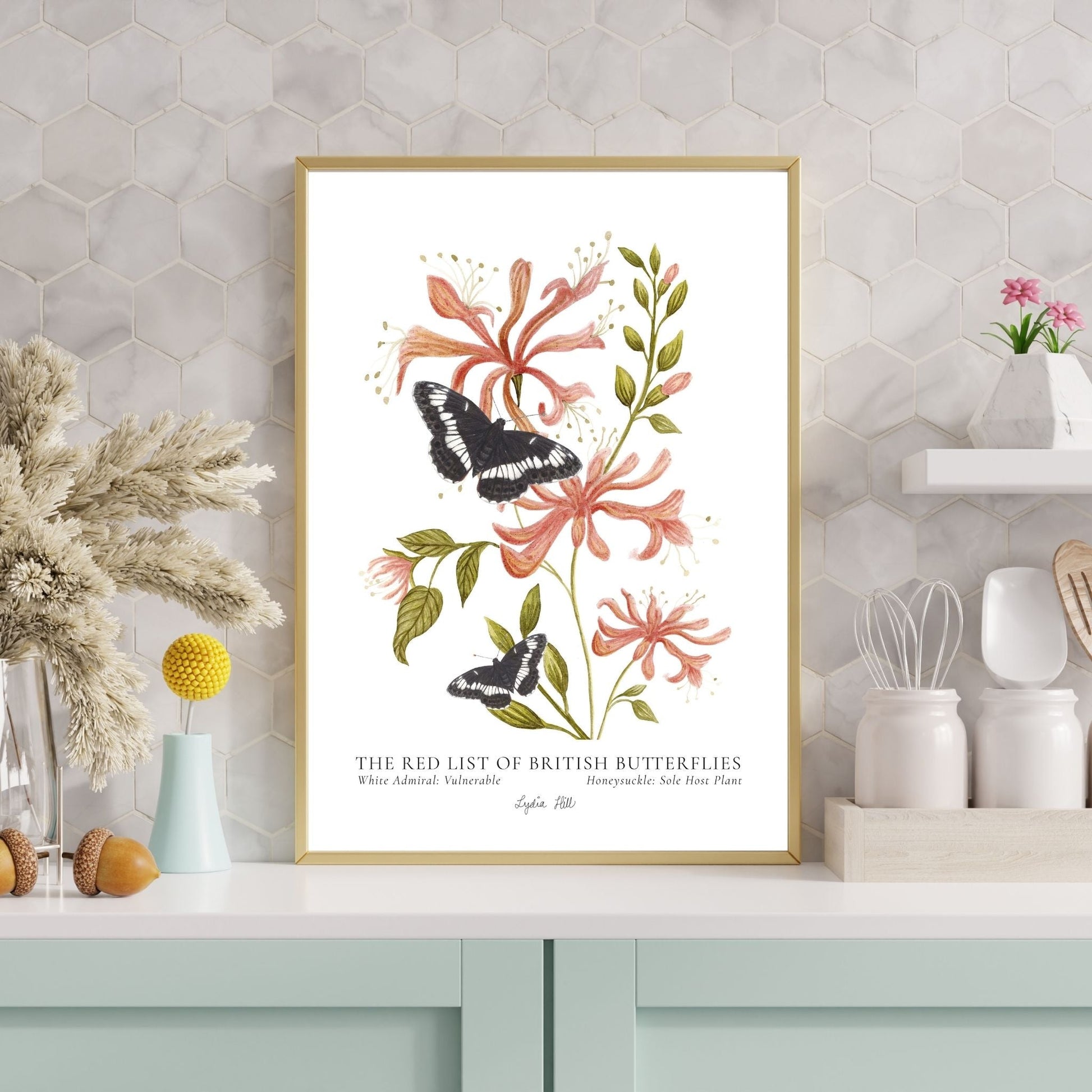 White Admiral British Butterfly, Heritage Fine Art Archival Print - Lydia Hill Designs