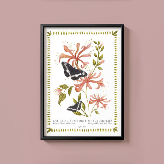 White Admiral British Butterfly, Heritage Fine Art Archival Print - Lydia Hill Designs