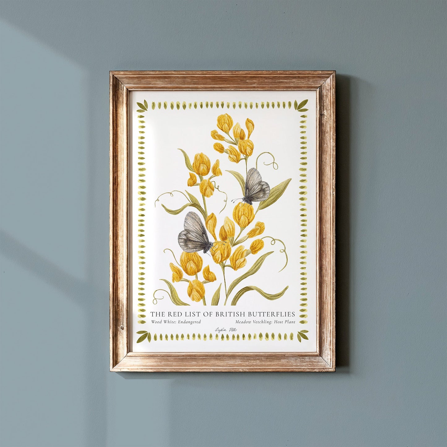 Wood White British Butterfly, Heritage Fine Art Archival Print - Lydia Hill Designs